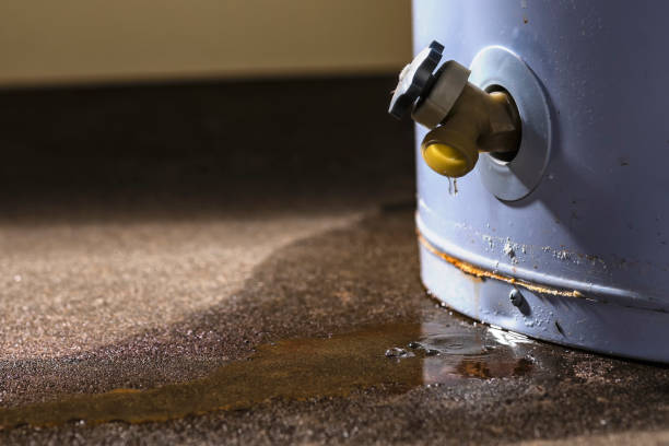 Best Flood damage cleanup  in Blairsville, PA