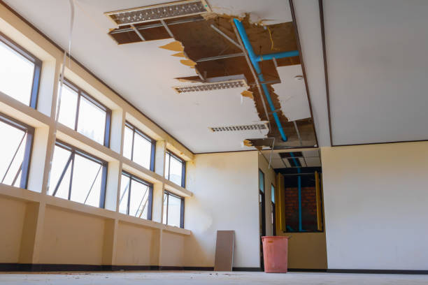 Best Local water damage restoration  in Blairsville, PA