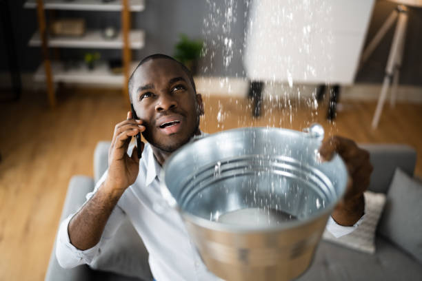 Best Basement water damage restoration  in Blairsville, PA