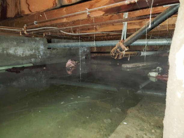 Best Fire Damage Restoration  in Blairsville, PA