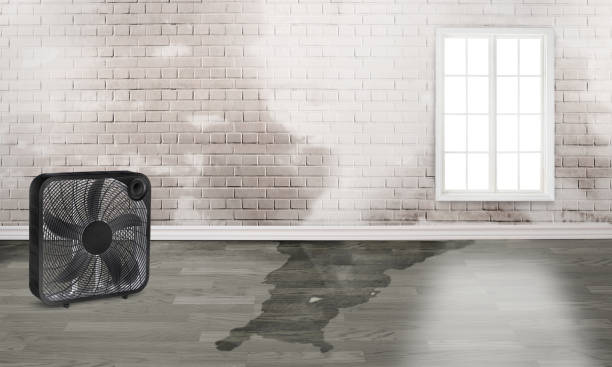Best 24/7 water damage repair  in Blairsville, PA
