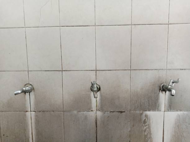 Best Flood restoration services  in Blairsville, PA