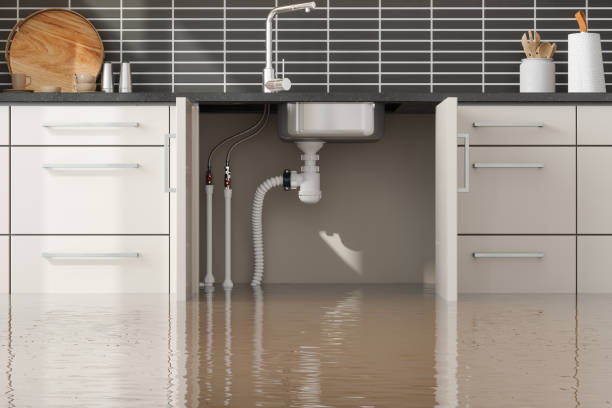 Best Mold removal after water damage  in Blairsville, PA